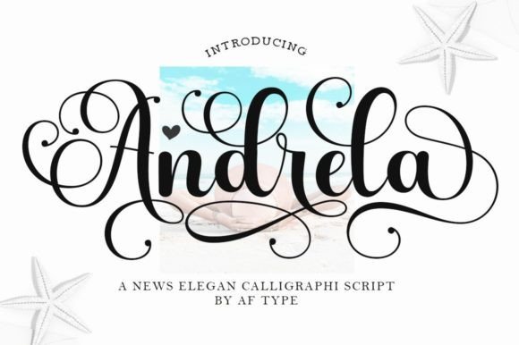 Andrela: A Premium Script Font for Business Branding