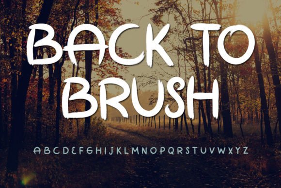 Back to Brush Font Review