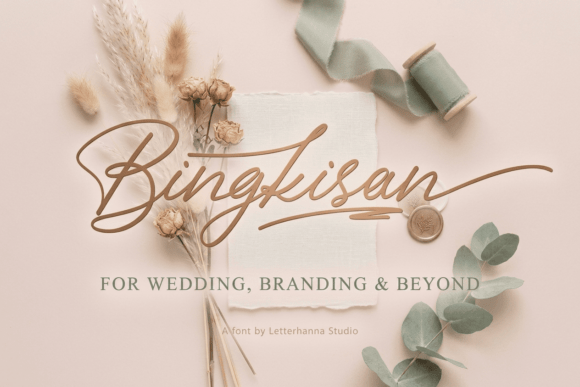Bingkisan: A Stylish Script Font for Business