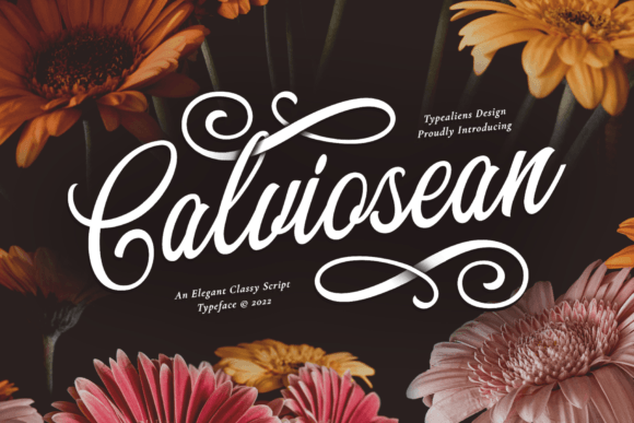 Calviosean Font for Elegant Campaigns