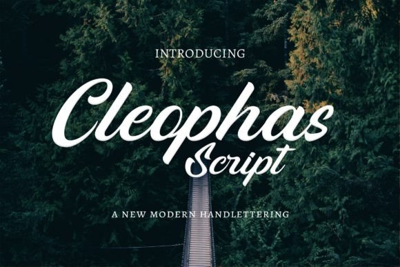 Cleophas: A Modern Script Font