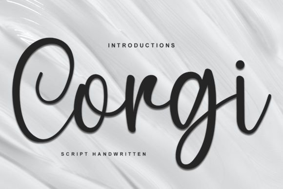 Corgi Font for Web Design