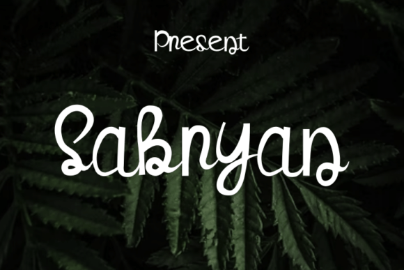 Sabryan Font for Web Design