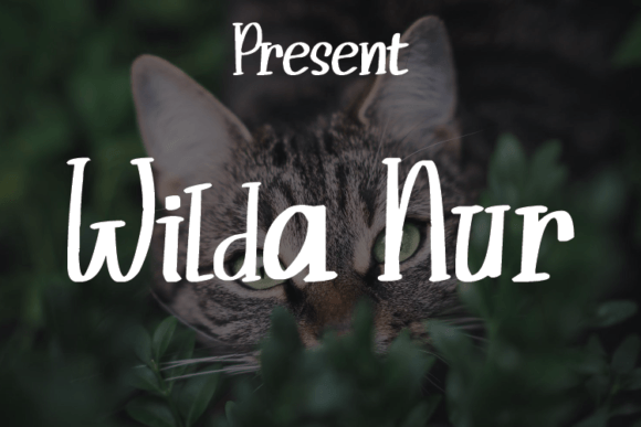 Wilda Nur Font for Creative Makers