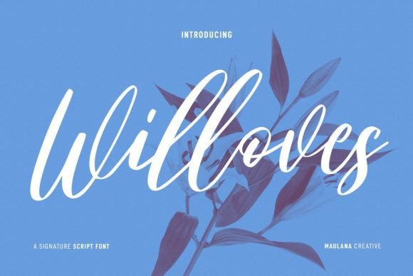 Willoves Font for Elegant Design